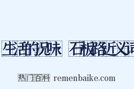 生活的况味·石板路近义词是什么意思的图片